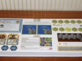 StadtLandSpielt2014_Kassel (5)